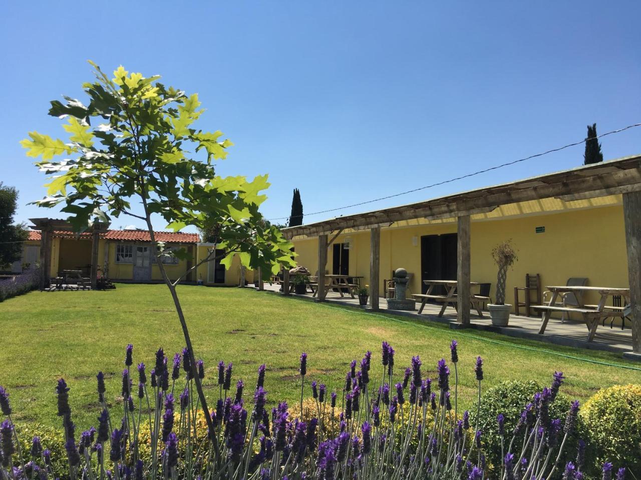 Hotel Quinta San Antonio Nopalucan de la Granja Exterior photo